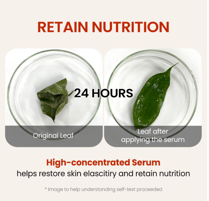 siero rassodare e antirughe con ginseng The Skin House Siero il viso Wrinkle Supreme Serum 50ml